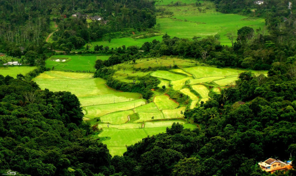 Coorg-Karnataka